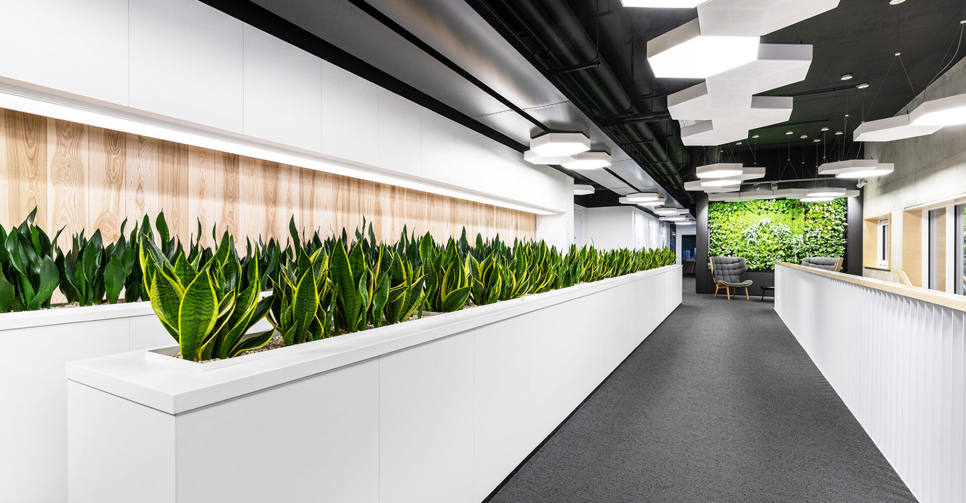 Eclairages acoustique de qualité